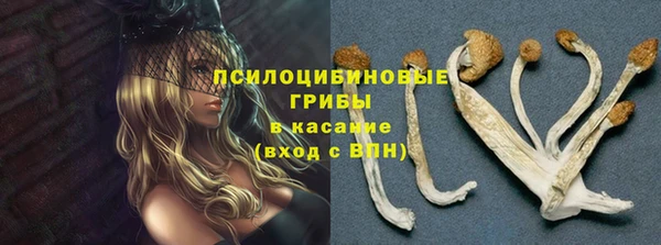 бутират Арсеньев