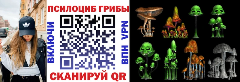 Галлюциногенные грибы Magic Shrooms  мега tor  Сретенск  купить наркотик 